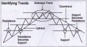 Identifying_Trends